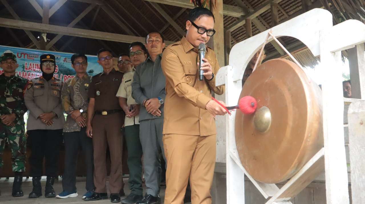 Bupati Mentawai Launching Penanaman 90 Ribu Batang Rotan Manau : Dorong Ekonomi Rakyat, Jaga Kelestarian Alam